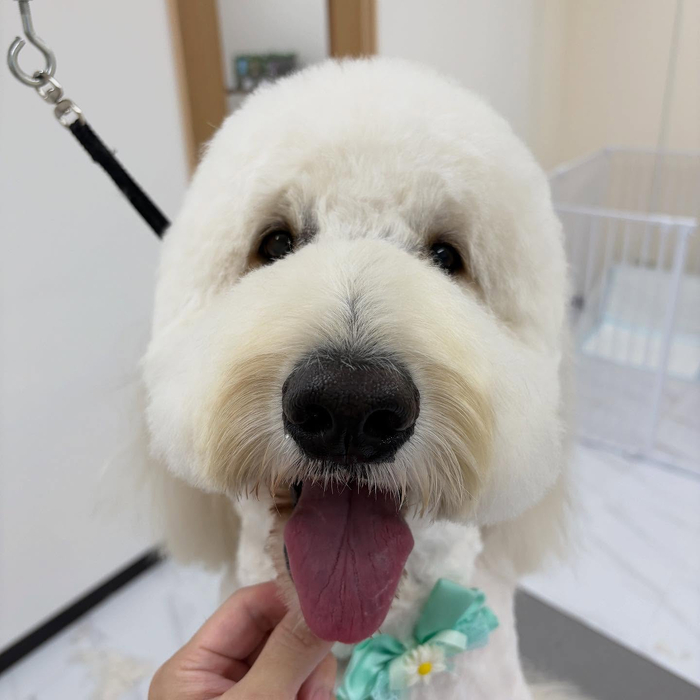画像1019
