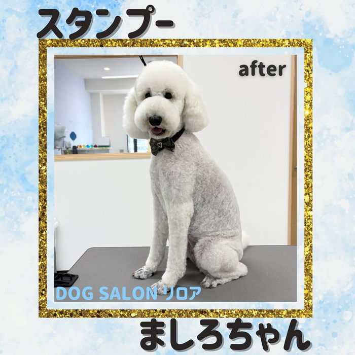 画像1026