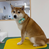 画像1037