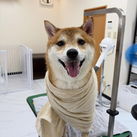 画像1041