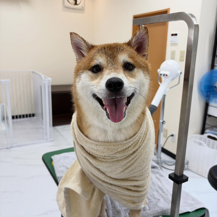 画像1041
