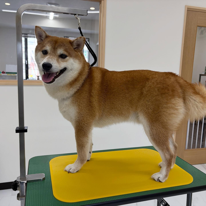 画像1042