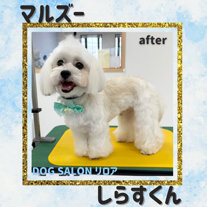 画像1047