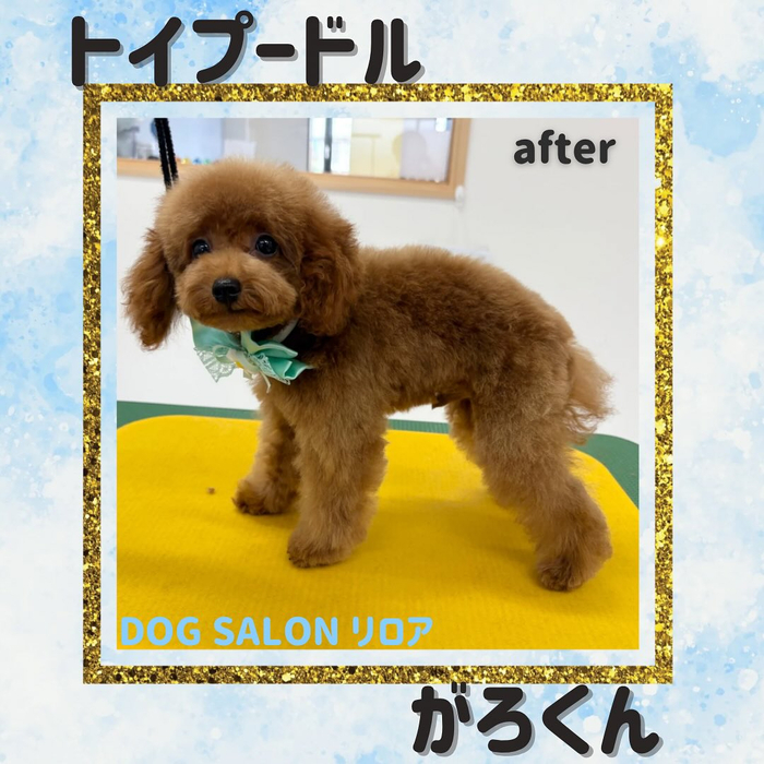 画像1057