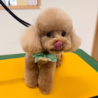 画像1078