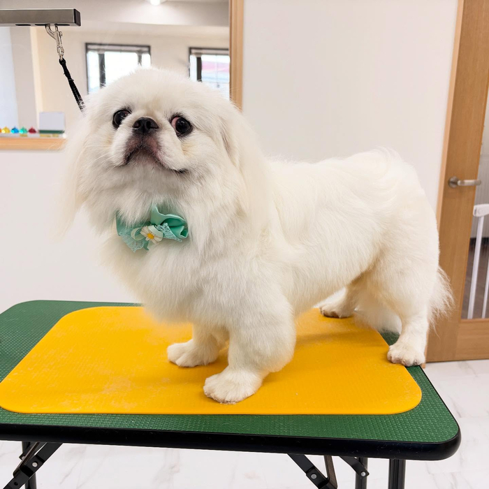 画像1087