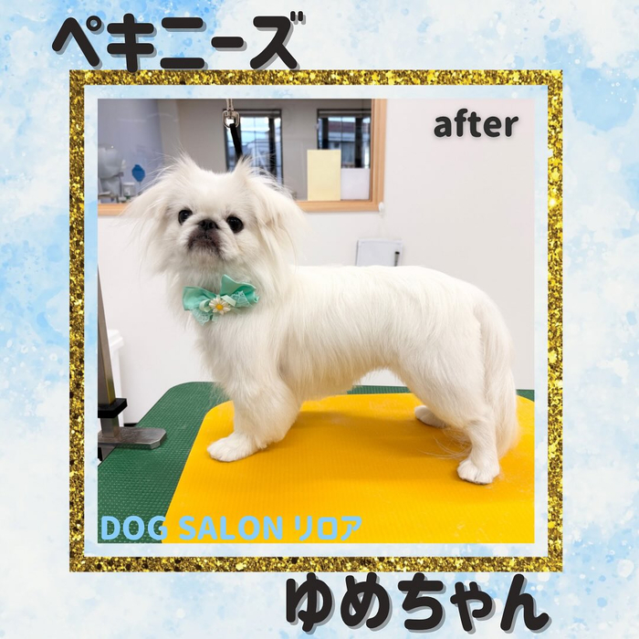 画像1095