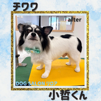 画像1123