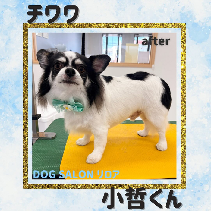 画像1123