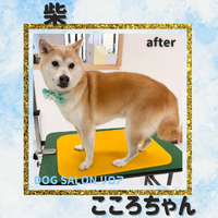 画像1132