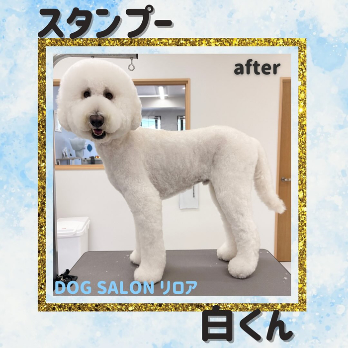 画像1172