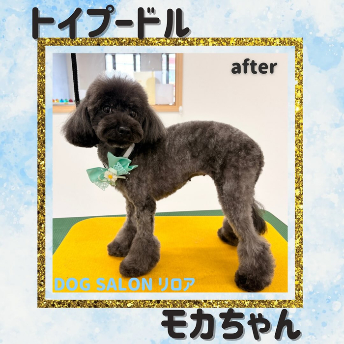 画像1238