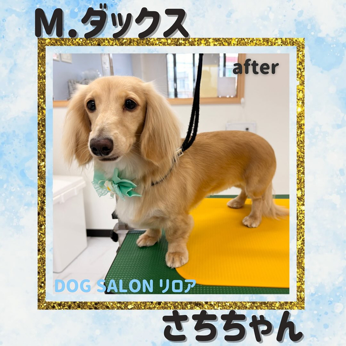 画像1248