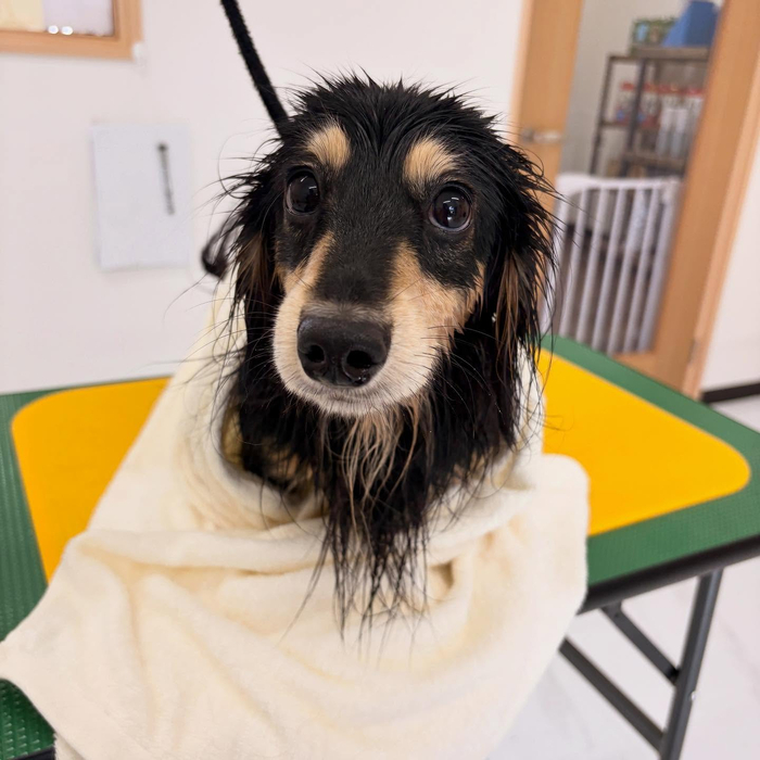 画像1261
