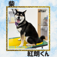 画像1267