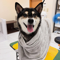 画像1271