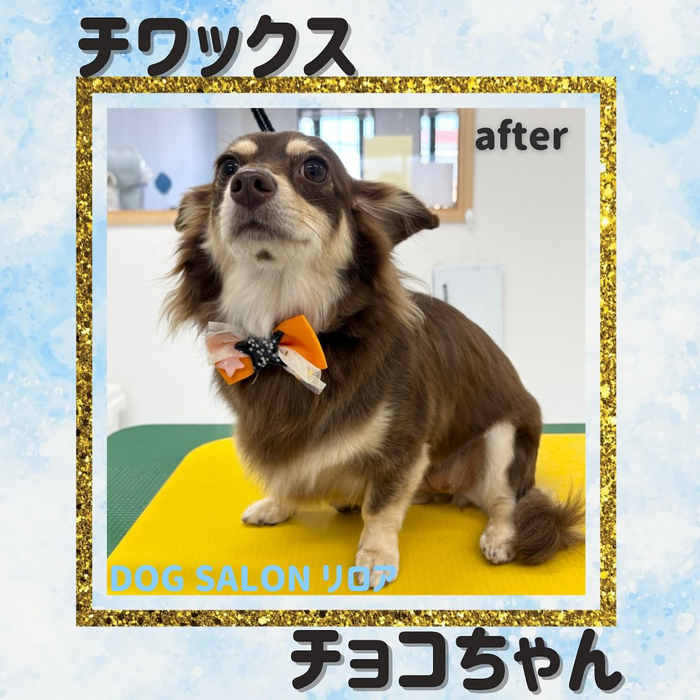 画像1329