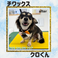画像1347