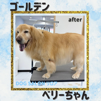 画像1373
