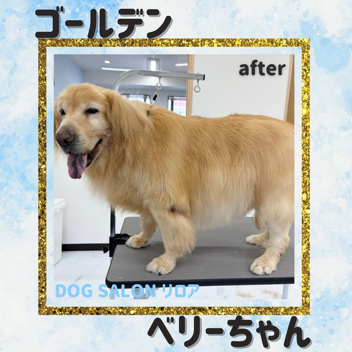 画像1373