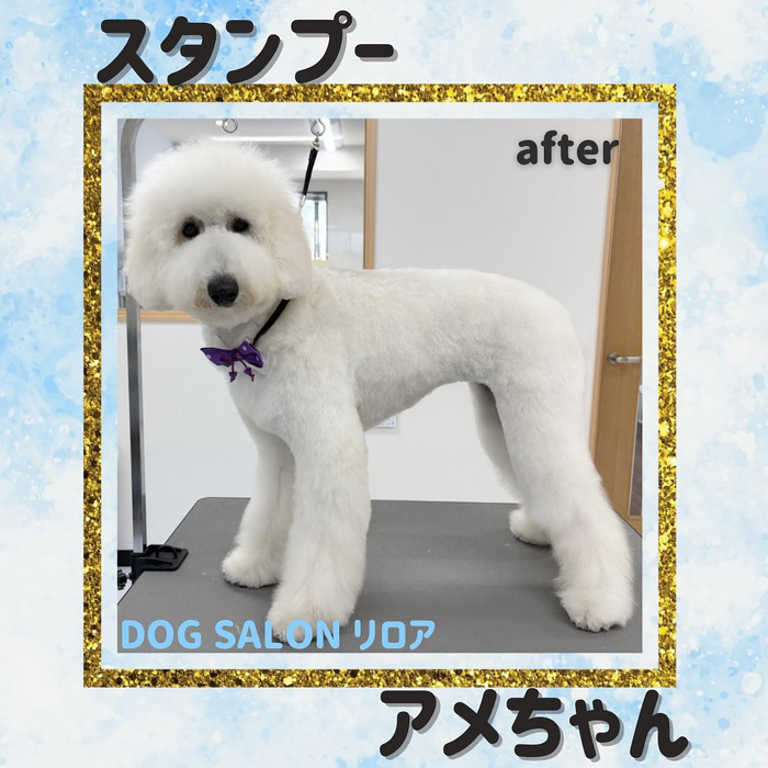 画像1400