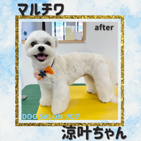 画像1409