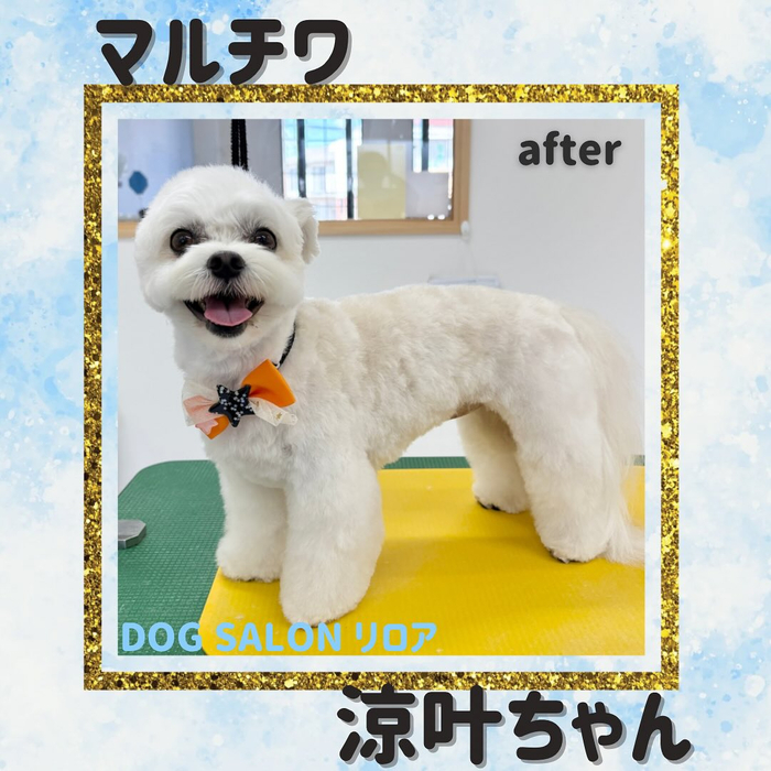 画像1409
