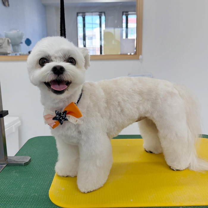 画像1410