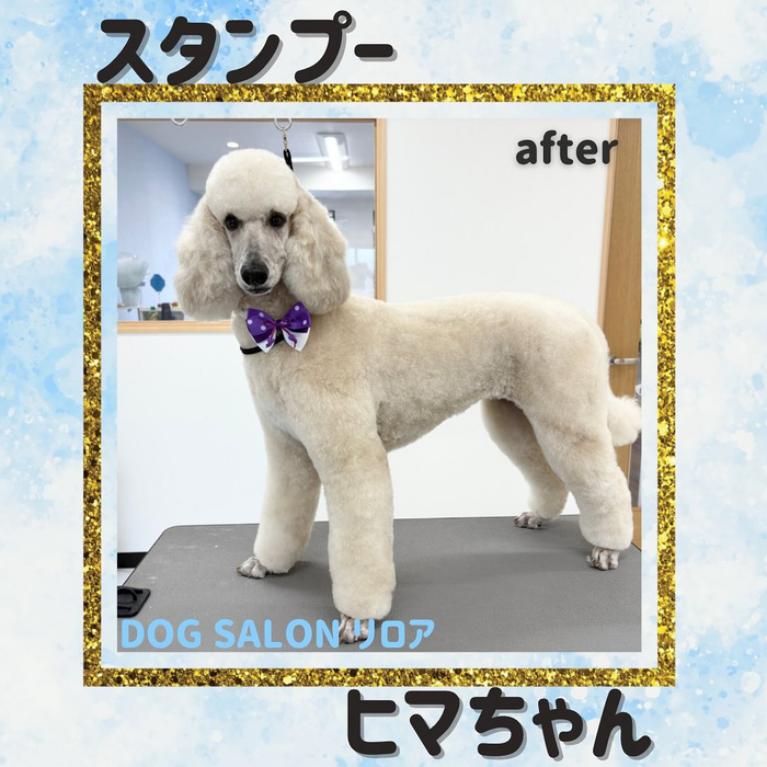 画像1429