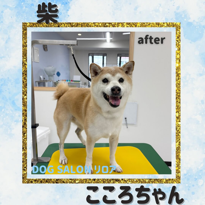 画像1509