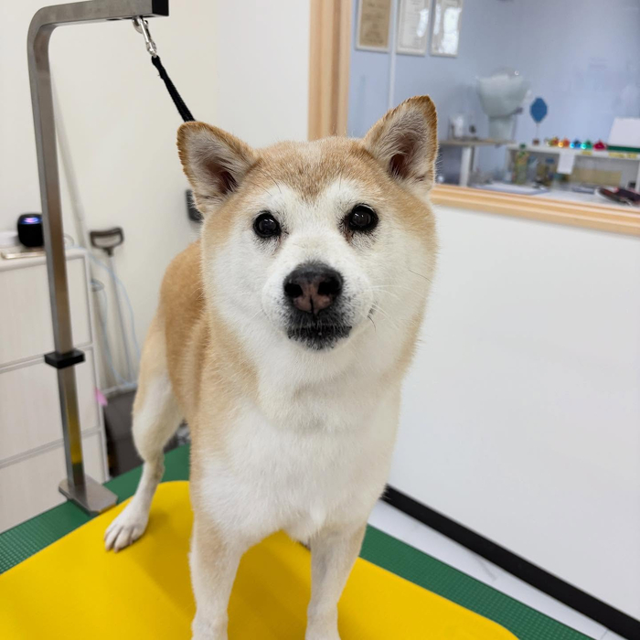 画像1511