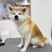 画像1574