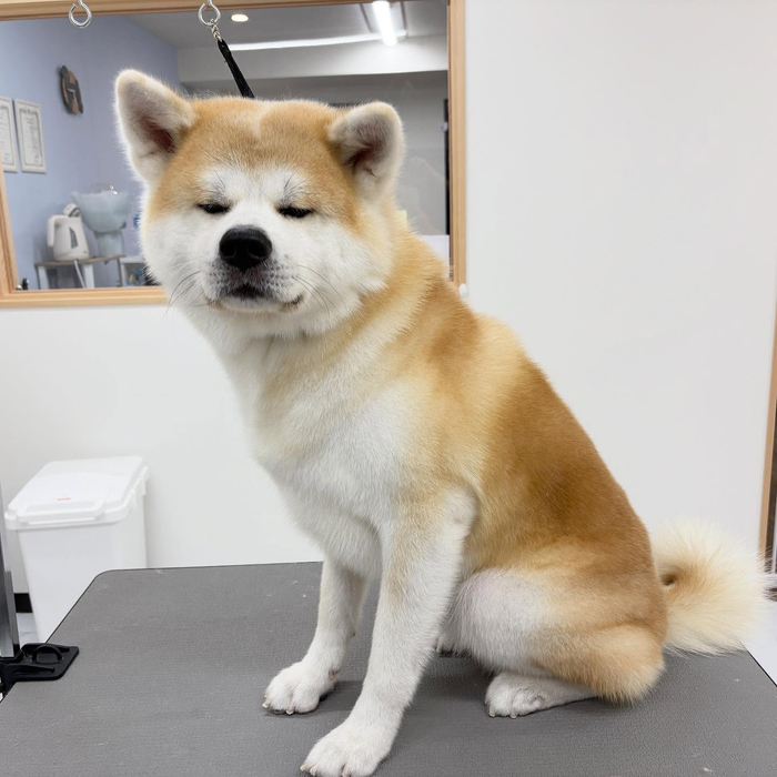 画像1574