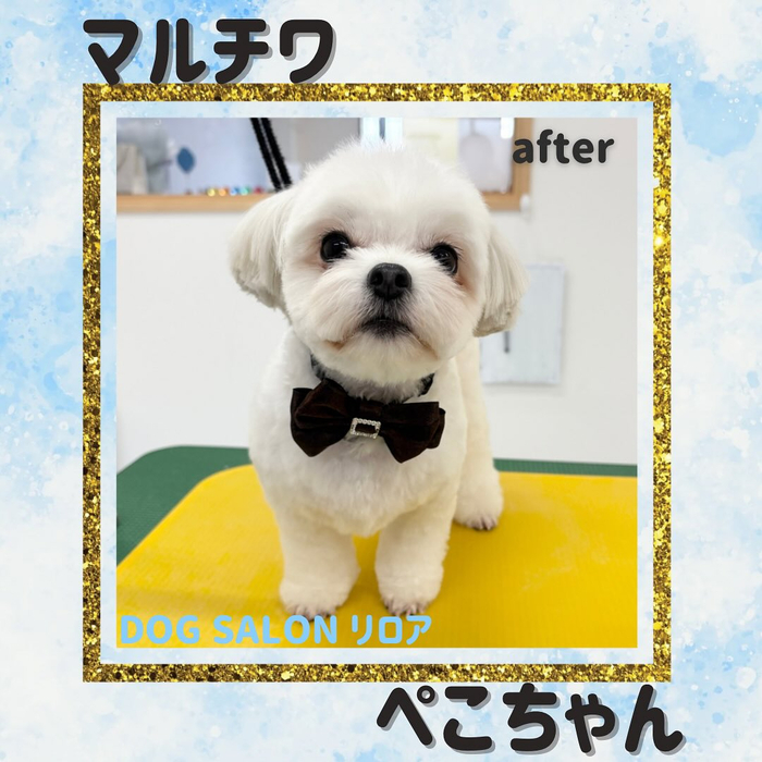 画像1709