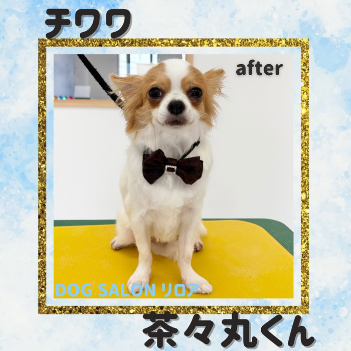 画像2014