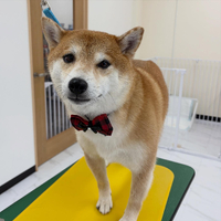 画像2116