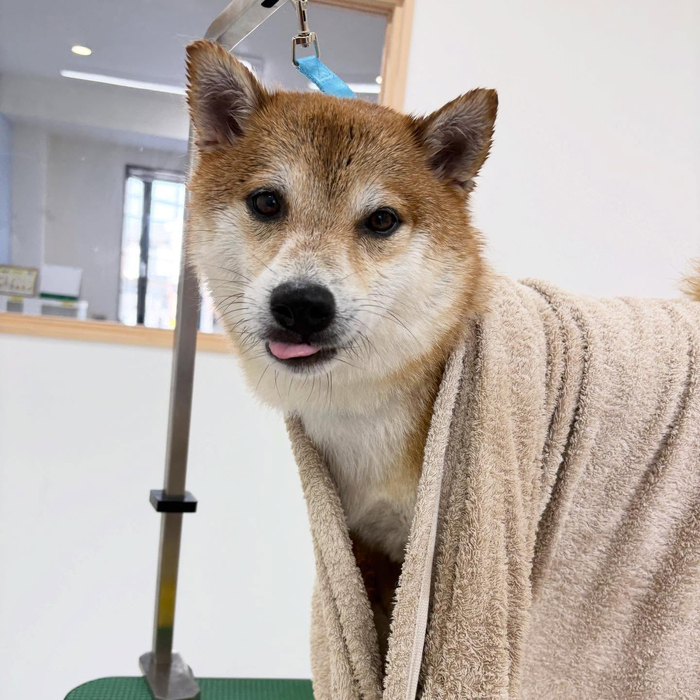 画像2118
