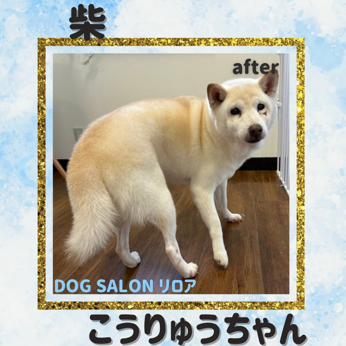 画像2129