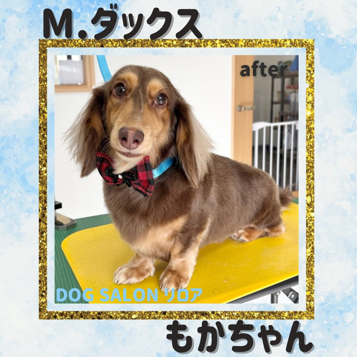 画像2242
