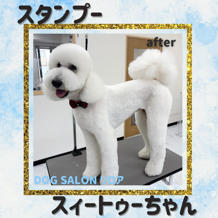 画像2270