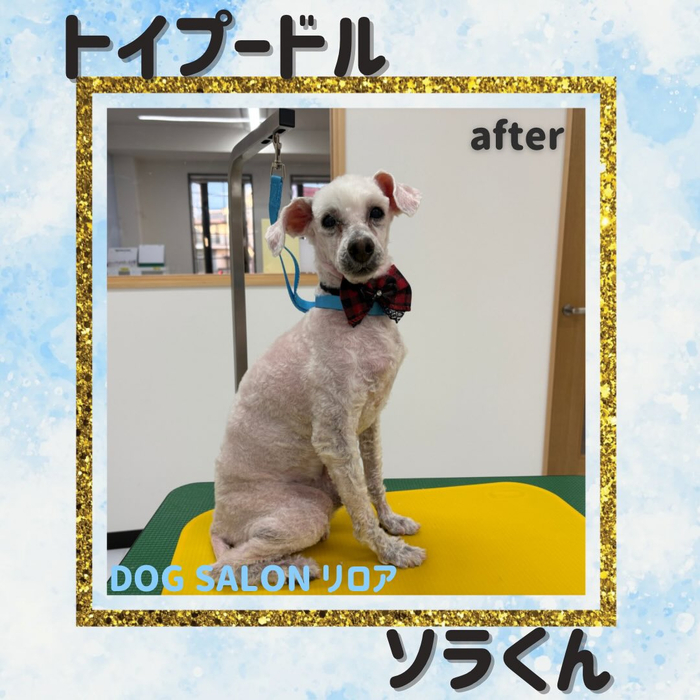 画像2279