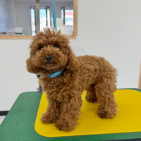 画像2299