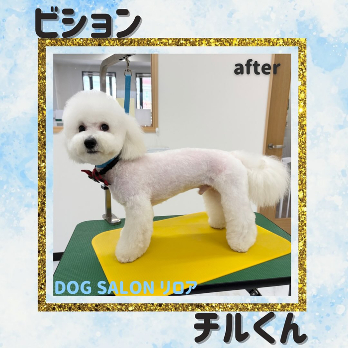 画像2336