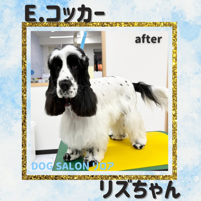 画像2347