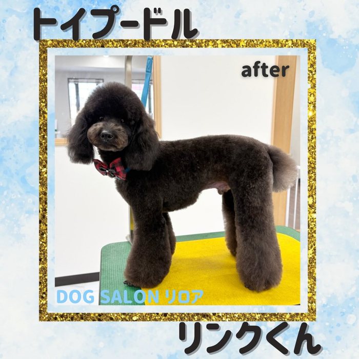 画像2361