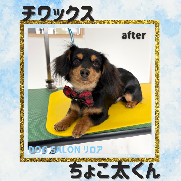 画像2428