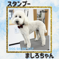 画像2465