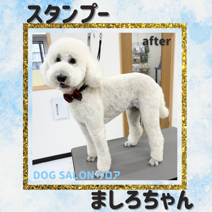 画像2465