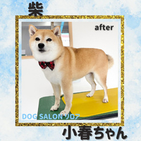 画像2490