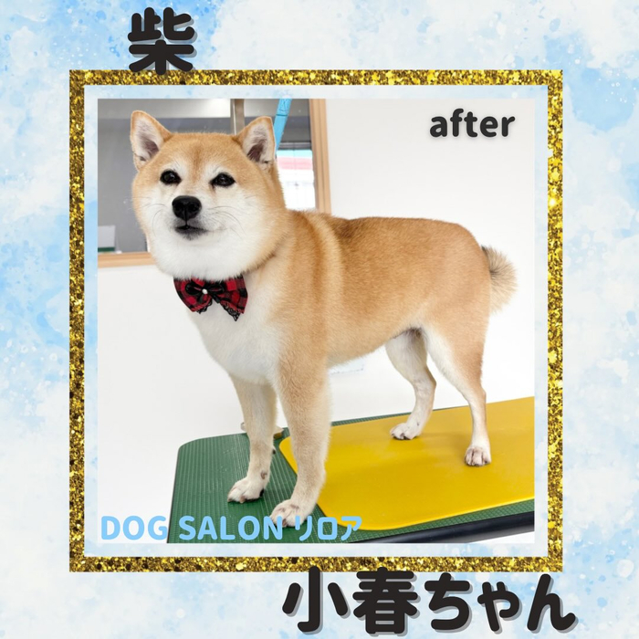 画像2490